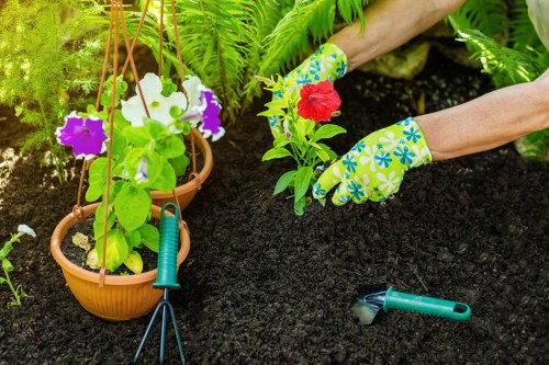 Gardener maintaining a communal lawn in Barking