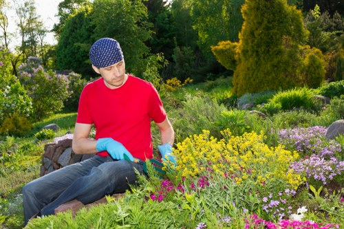 A man in a red t-shirt, blue gloves, and a blue patterned cap is kneeling in a well-maintained garden with a variety of flowering plants, shrubs, and small trees. The garden features a mix of vibrant yellow, purple, and pink flowers, bordered by lush green foliage and neatly trimmed bushes. In the background, there are taller trees and a dense, woodland-style landscape, suggesting a spacious outdoor area typical of suburban gardens in Barking. The scene is lit by natural sunlight, indicating a clear day, with the garden's diverse plantings arranged around paved pathways and garden beds. Lawn Mowing Barking provides garden maintenance and landscaping services in the local area, and this image exemplifies the detailed care given to flower beds and green spaces to enhance curb appeal and outdoor enjoyment.