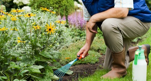 Dog enjoying a clean, well-maintained yard